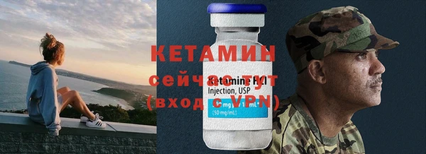 индика Аркадак