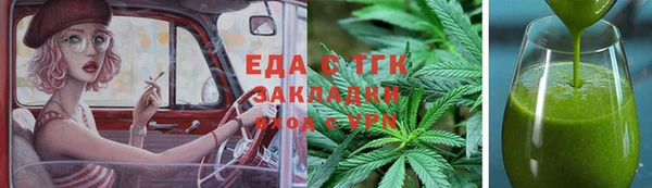 индика Аркадак