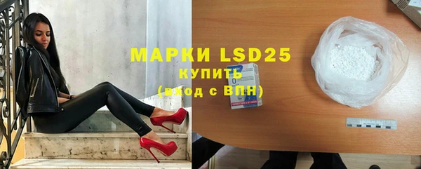 индика Аркадак