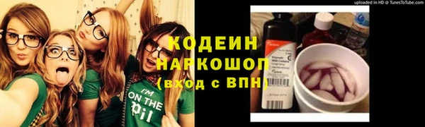 индика Аркадак