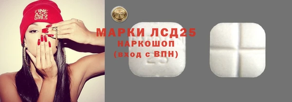 индика Аркадак