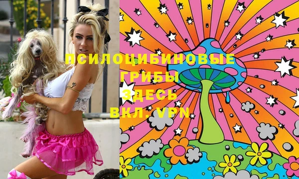 индика Аркадак