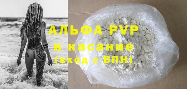 индика Аркадак