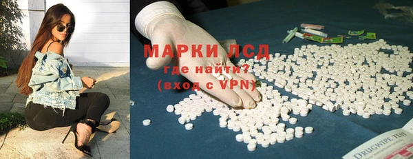 индика Аркадак